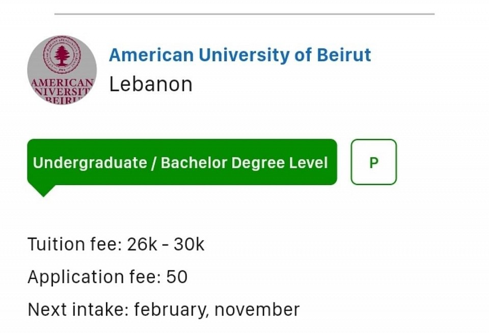 STUDY IN LEBANON